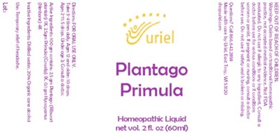Plantago Primula Liquid (Plantago Primula Liquid)